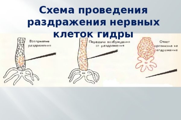 Кракен ссылка на тор официальная онион