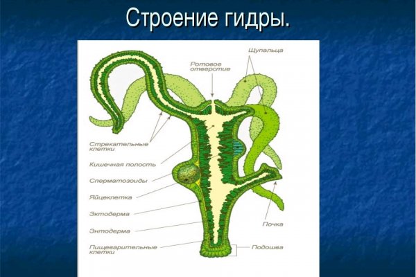 Что такое кракен маркет